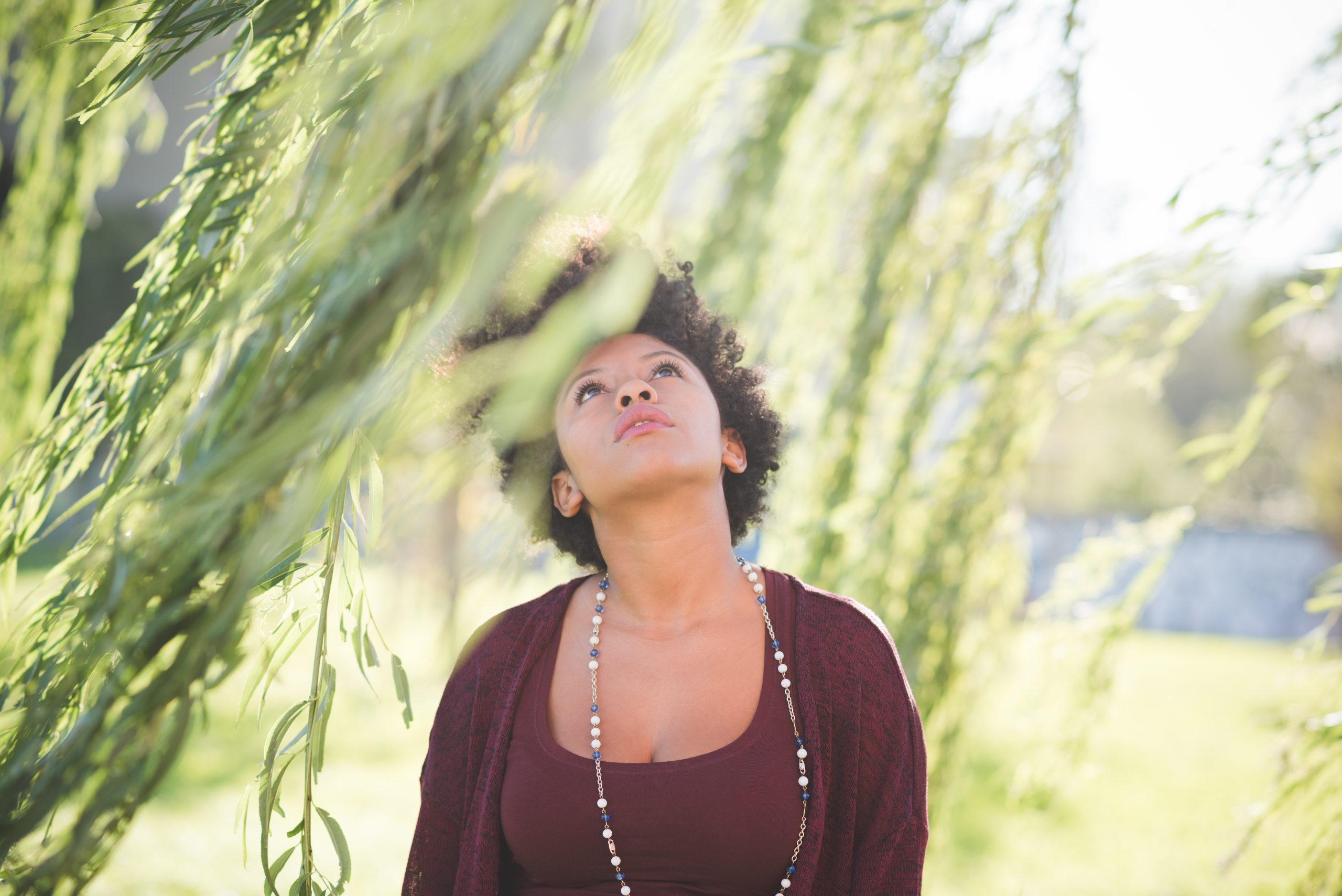 Understanding Spiritual Growth